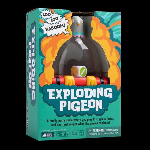 Picture of Exploding Pigeon